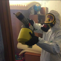 Уничтожение клопов в квартире. Ардатов